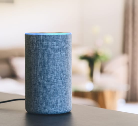 Smart Room Voice Controls